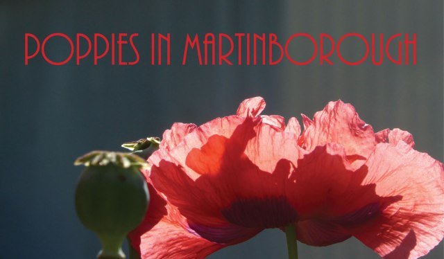 Poppies-title--slide